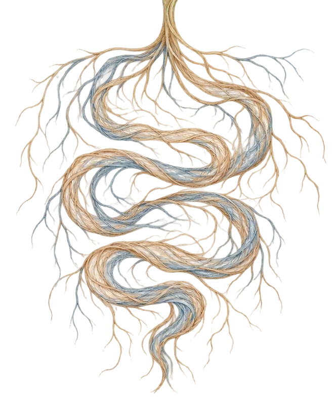 Ilustração em aquarela: as raízes de uma planta se enrolam e desenham a forma de um intestino.